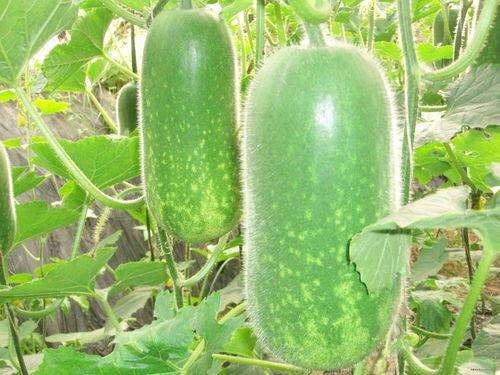 今日吃瓜热门大瓜每日更新51